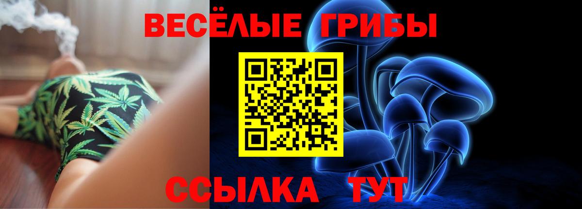 Галлюциногенные грибы Psilocybe Гусев